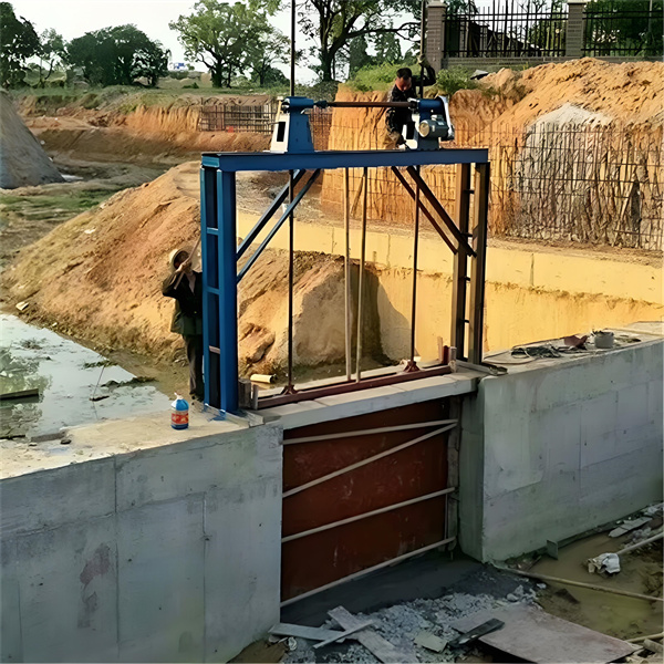 羞羞漫画网址启闭机